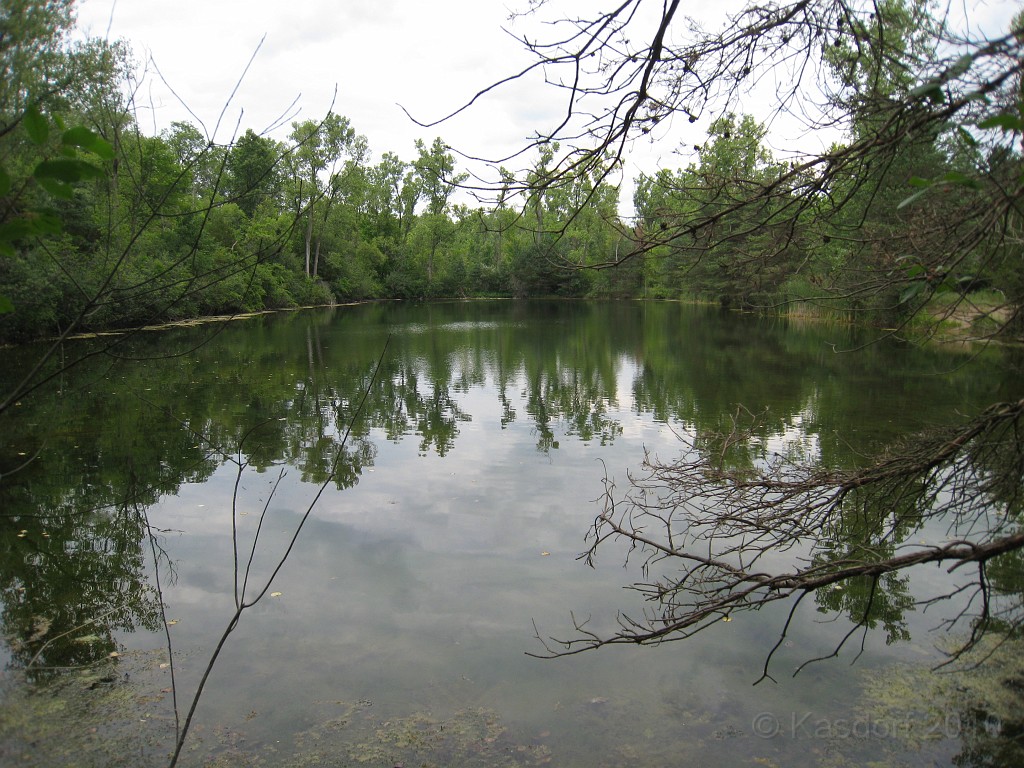 Matthaei Botanical Gardens 2010 0485.jpg - Inside the park there are a couple larger ponds. I have seen people, obviously optomists, fishing here.